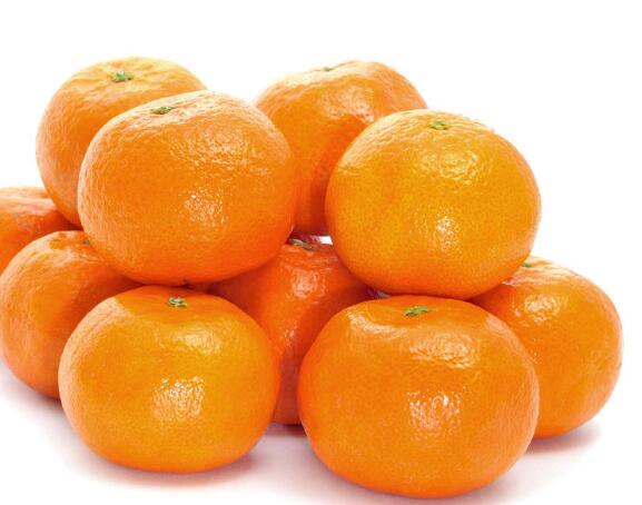 龙岗食材配送橘子
