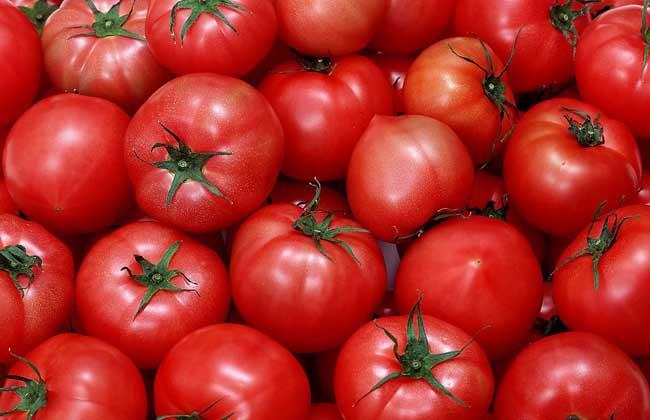 蔬菜配送公司简述吃西红柿的注意事项