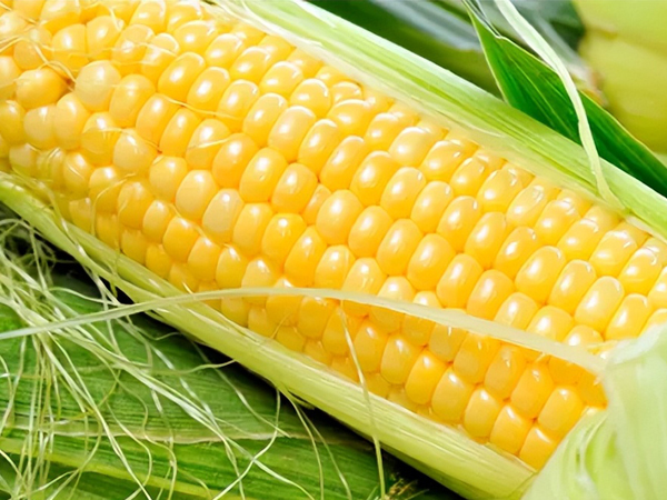 宝安农产品配送夏季吃玉米有什么好处?