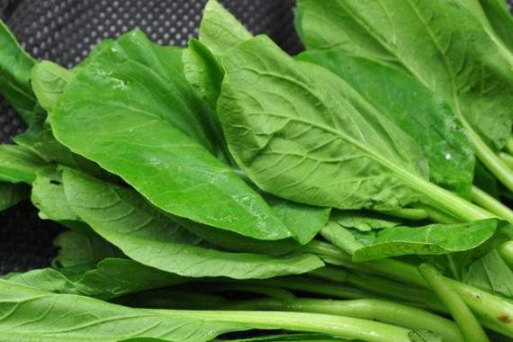 龙岗蔬菜配送公司告诉大家春季适宜食用哪些蔬菜