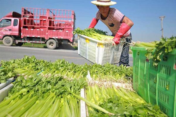 蔬菜配送公司应该如何获得精准客户?