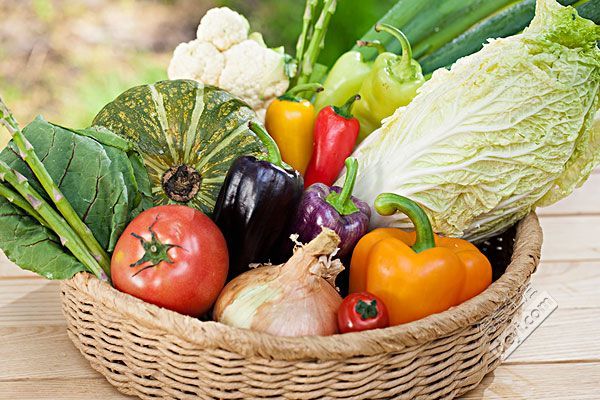 不同季节配送的菜品供应有何变化